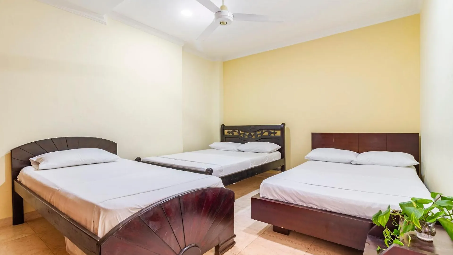 Vendégház Hostal Cartagonova - Habitaciones Privadas Y Amplias Cerca A Zonas Turisticas Cartagena